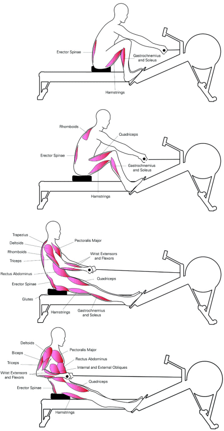How-to-do-workout-on-Rowing-machine